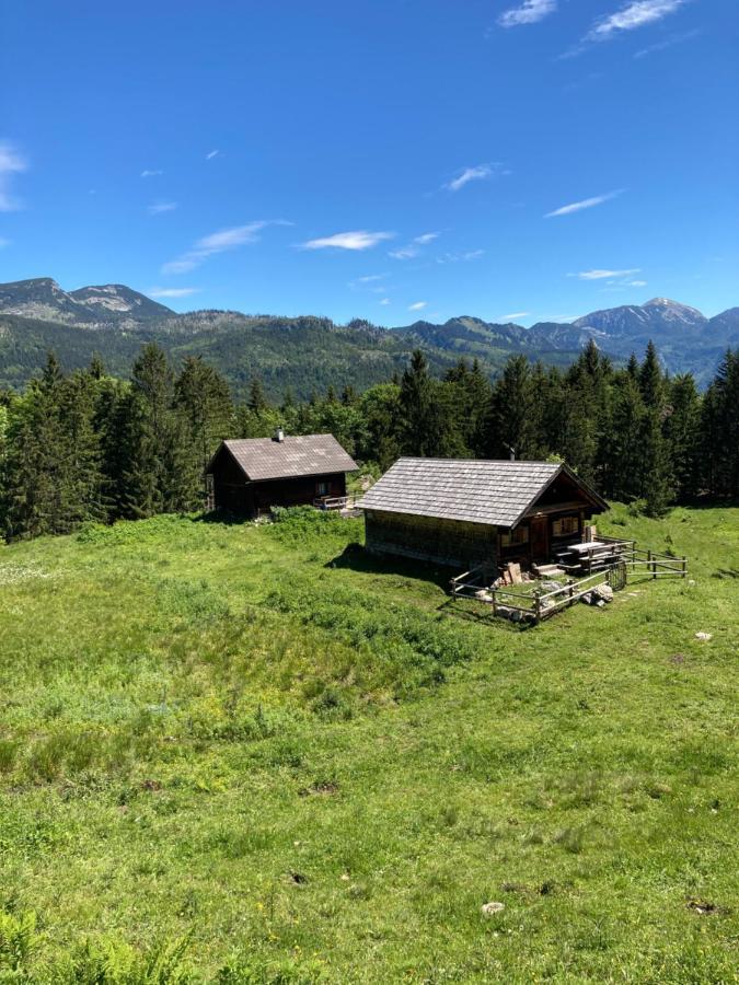 Haus Haslach Elsbethen المظهر الخارجي الصورة