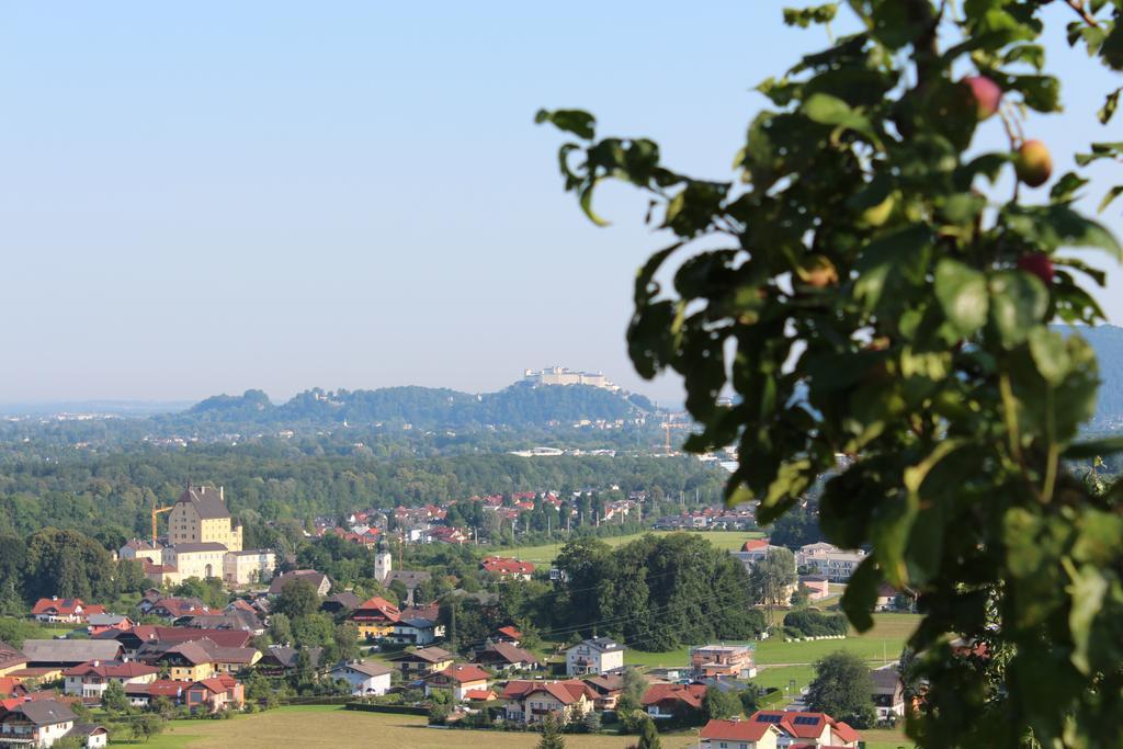 Haus Haslach Elsbethen الغرفة الصورة